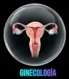Ginecología