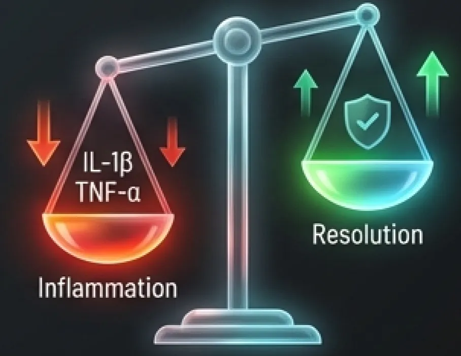 Ilustración de inmunomodulación